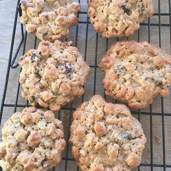 Breakfast Cookies